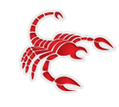 Skorpion Skorpion