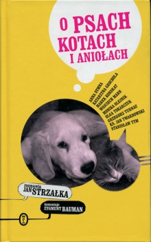 O psach
kotach i aniołach