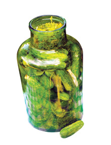 Zimowa witamina 