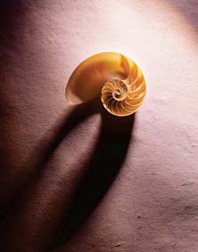 Terapia naturalna