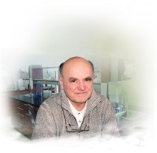 Haptenowe związki 