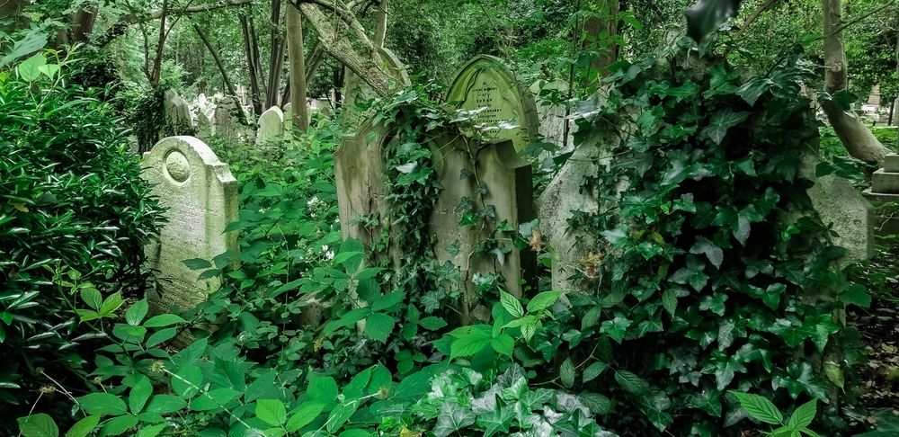 nawiedzony_londyn-cmentarz-highgate