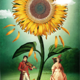 Tarot tygodnia (17-23.11). Słońce