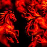 Jaki będzie rok Ognistego Konia? Szybki i nieprzewidywalny! Sprawdź horoskop chiński 2026 dla wszystkich znaków zodiaku