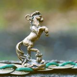 ⭐W chińskiej astrologii czerwiec ma energię Konia. Które dni przyniosą sukces i jak wykorzystać najlepszy czas?