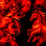 Jaki będzie rok Ognistego Konia? Szybki i nieprzewidywalny! Sprawdź horoskop chiński 2026 dla wszystkich znaków zodiaku