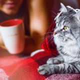 Horoskop weekendowy (12-14.12). Wielkie lenistwo zaplanuj dopiero na niedzielę