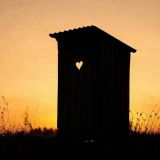 Co w senniku oznacza sen o kupie? Pieniądze! Zobacz, co jeszcze symbolizuje sen o odchodach