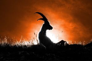 Nów Księżyca w styczniu 2026