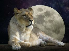 Pełnia Księżyca w lutym 2026