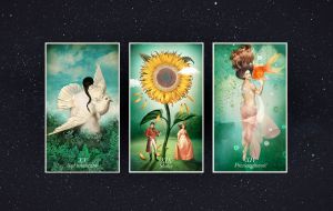 tarot na październik 2025