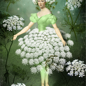 Tarot tygodnia Gwiazda