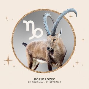 Horoskop 2026 na urodziny dla Koziorożca