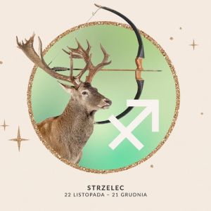 Horoskop na urodziny dla Strzelca 2025-26