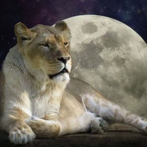 Pełnia Księżyca w lutym 2026