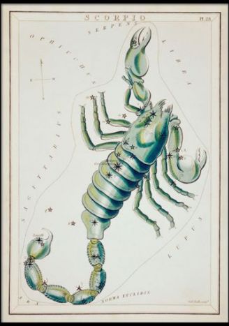 Plakat znaki zodiaku retro - Skorpion
