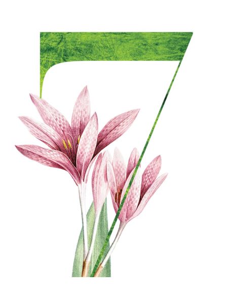 7