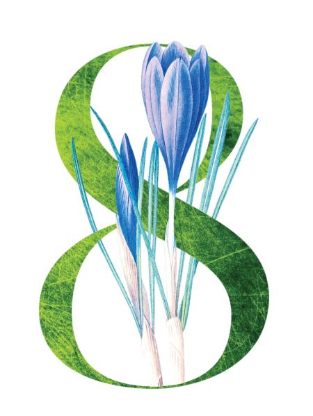 8