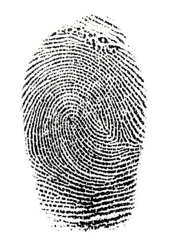 chiromancja odciski palców