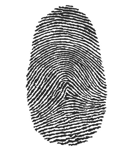 chiromancja odciski palców