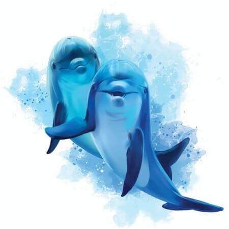 typ osobowości, delfin, sen