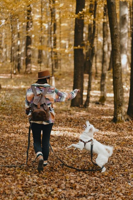 Merkury w retrogradacji 2025