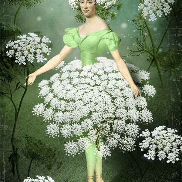 Tarot tygodnia Gwiazda