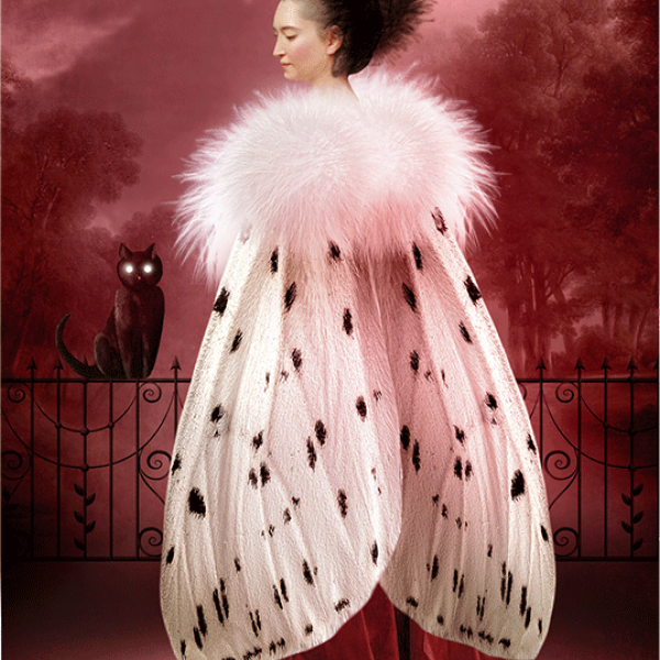 Tarot tygodnia Cesarzowa