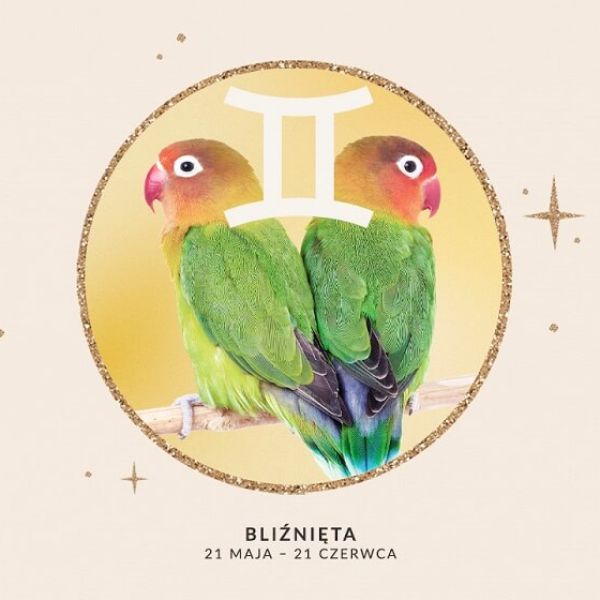 Horoskop dla Bliźniąt 2026