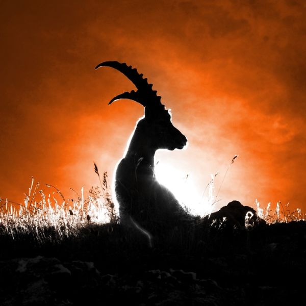 Nów Księżyca w styczniu 2026