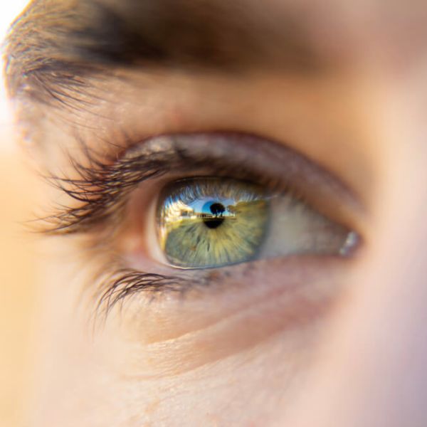 Przenikliwe znaki zodiaku