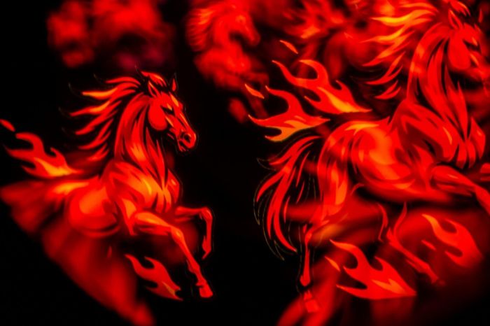 data/articles/Horoskop chiński 2026