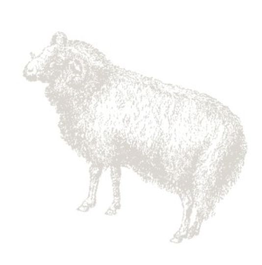 znaki zodiaku, planety, księżyc, Słońce, Baran