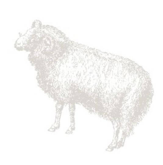 znaki zodiaku, planety, księżyc, Słońce, Baran
