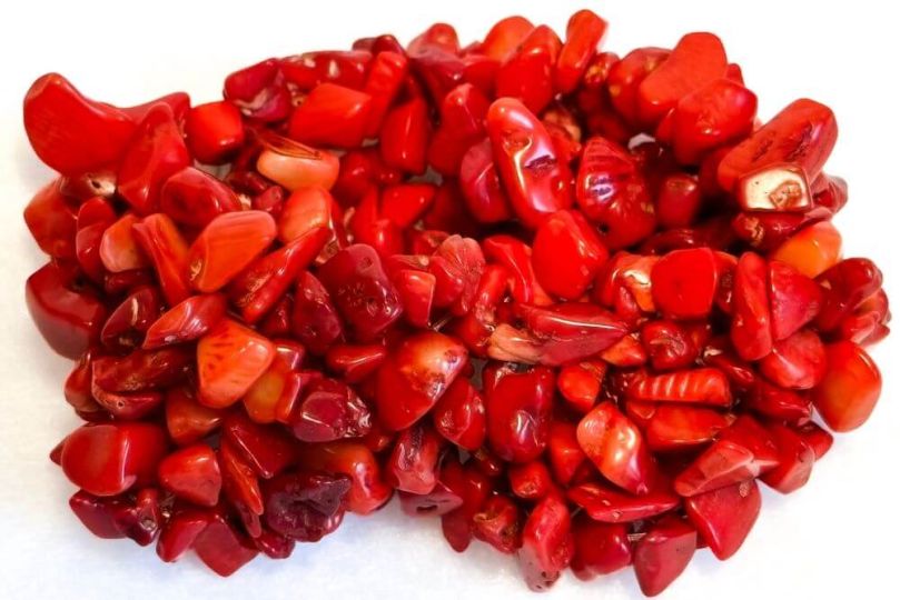 talizman dla Ryb koral