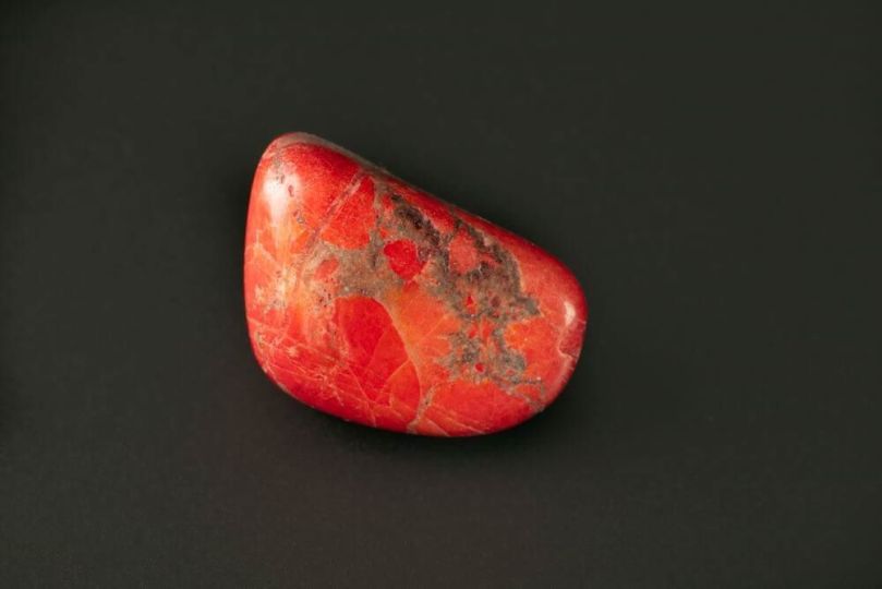 talizman dla Ryb koral