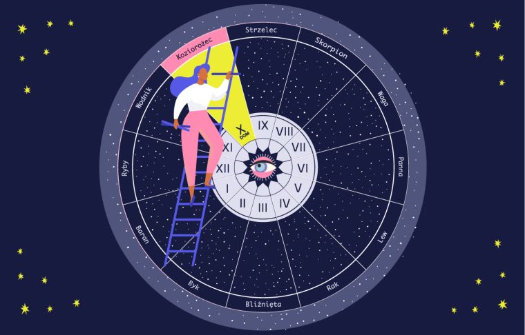 10 dom astrologia