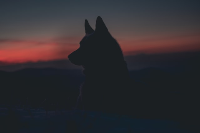 pełnia-rak