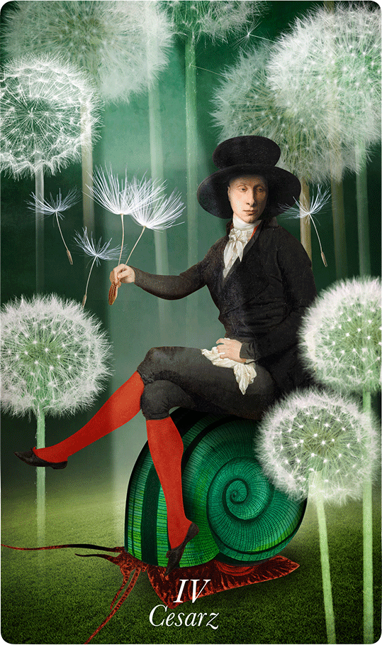 Tarot tygodnia Cesarz