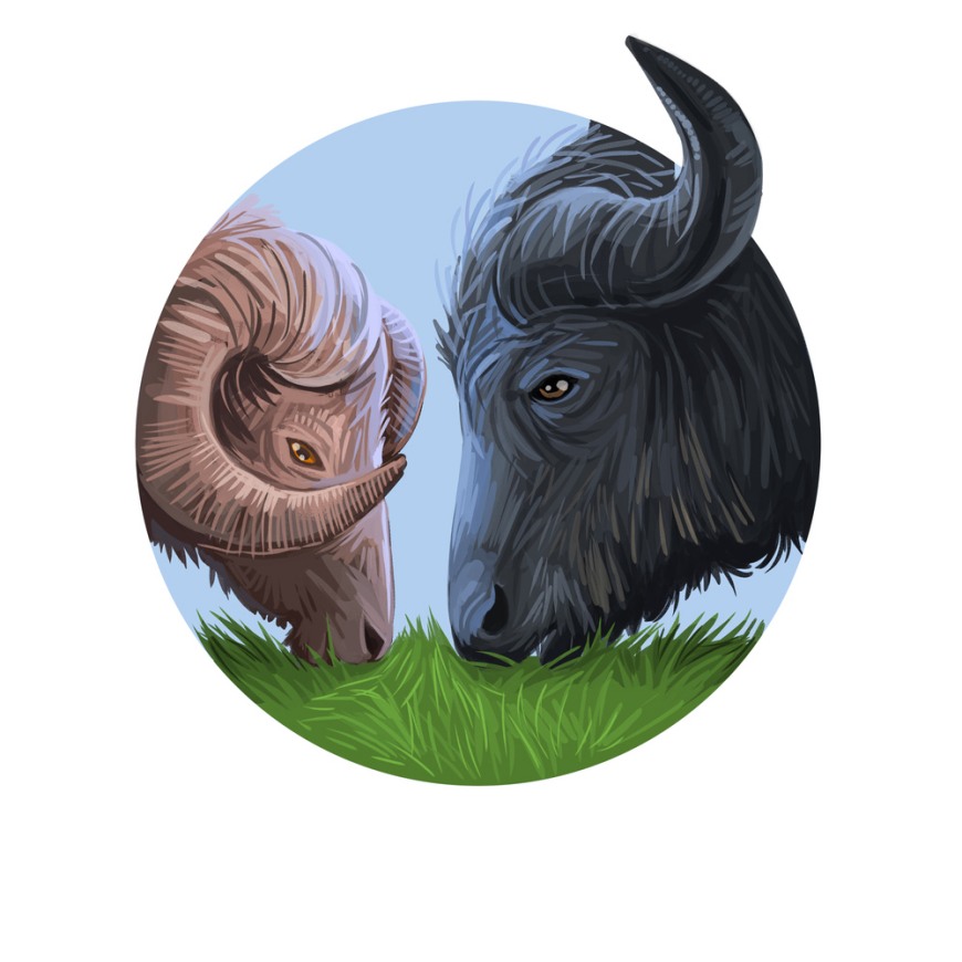 Ludzie urodzeni na przełomie znaków zodiaku łączą ich cechy charakteru