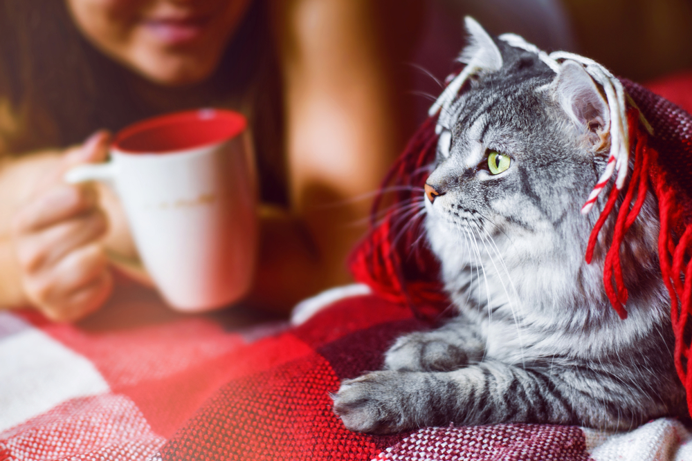 Horoskop weekendowy 12-14 grudnia 2025