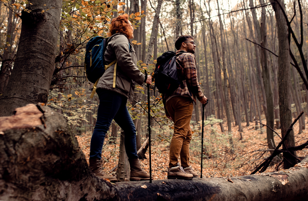 Horoskop weekendowy 14-16 listopada 2025