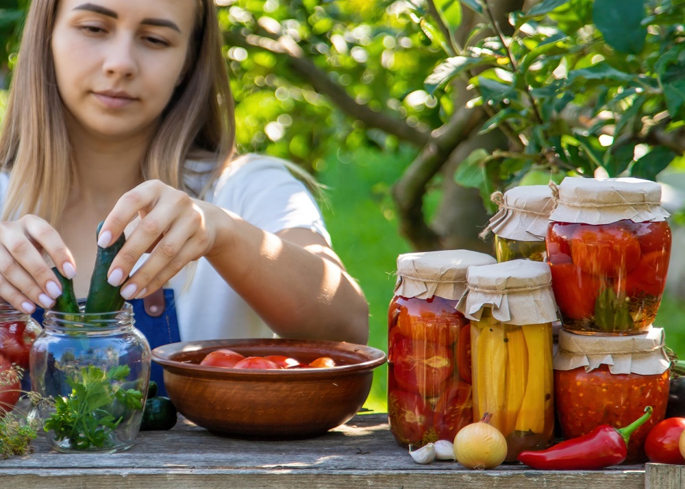 Kiszonki i magia fermentacji