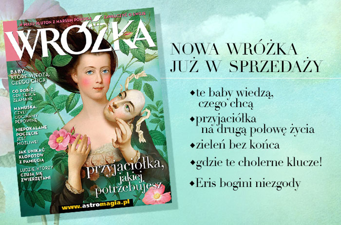 magazyn wróżka