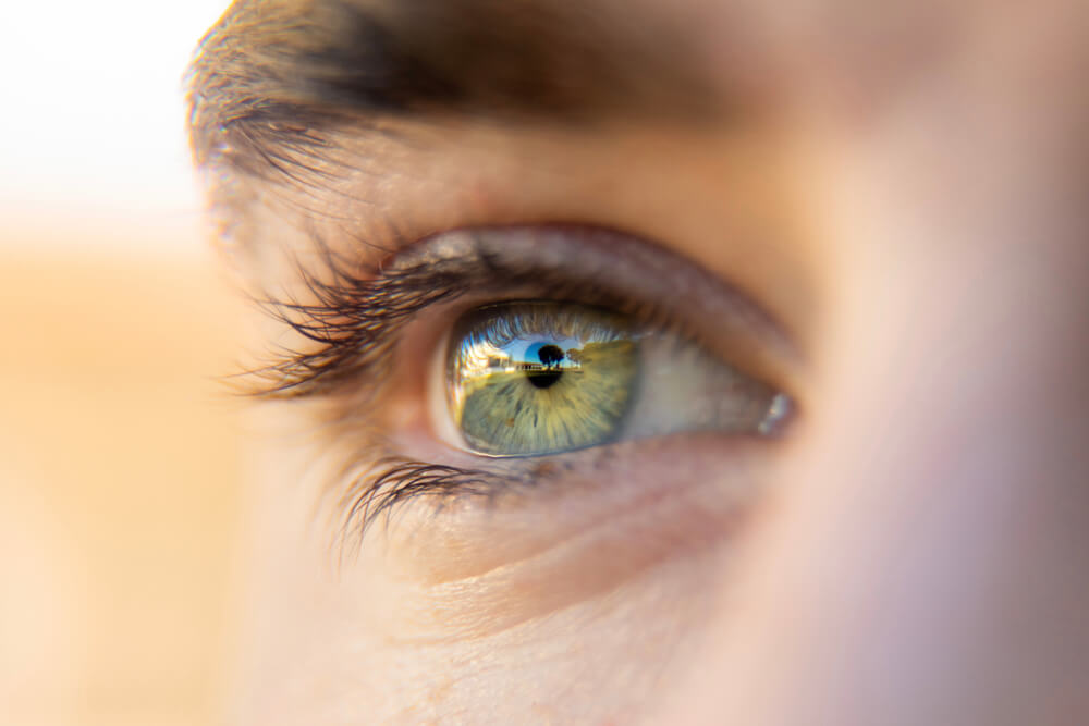 Przenikliwe znaki zodiaku