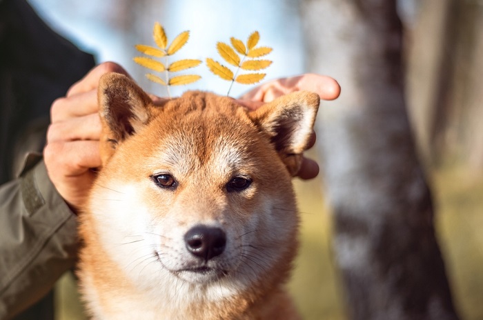 sukcesy i przestrogi dla zodiaku