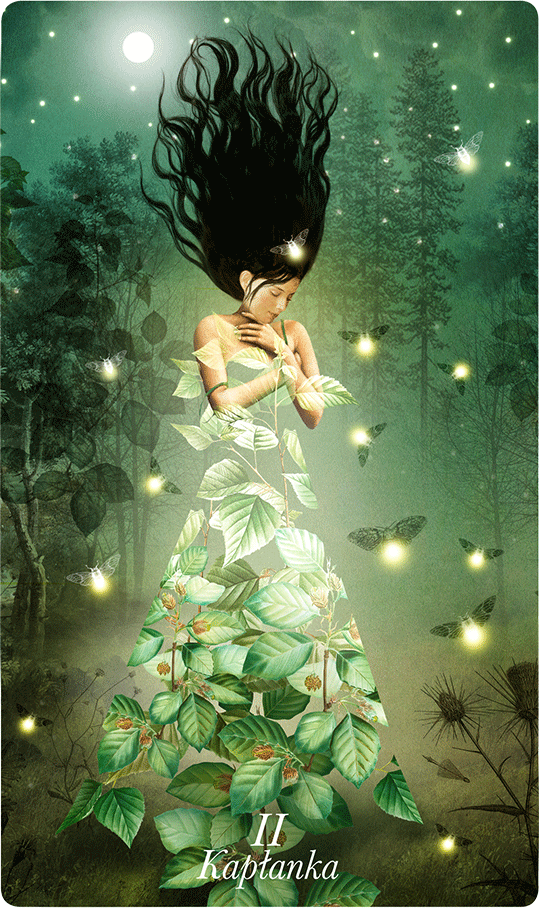 Tarot tygodnia Kapłanka