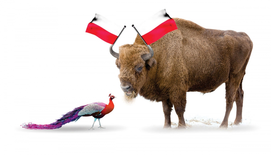 Zwierzęce godło Polski