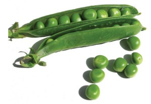 Fasolka